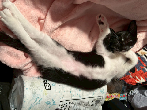 LINE_ALBUM_ダンス武新年会_260124_1