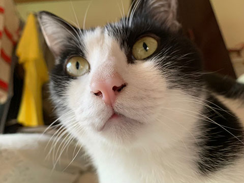 LINE_ALBUM_2019湊川灯籠流し_251129_1