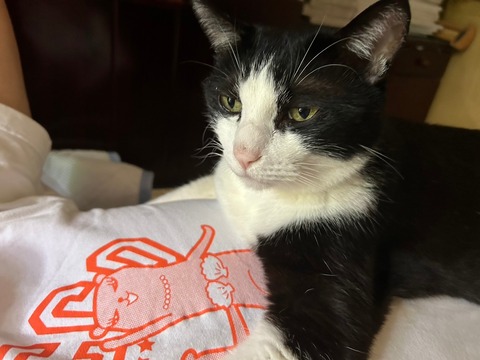 LINE_ALBUM_20160306_241019_1