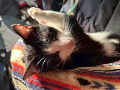 LINE_ALBUM_20190609_250802_1