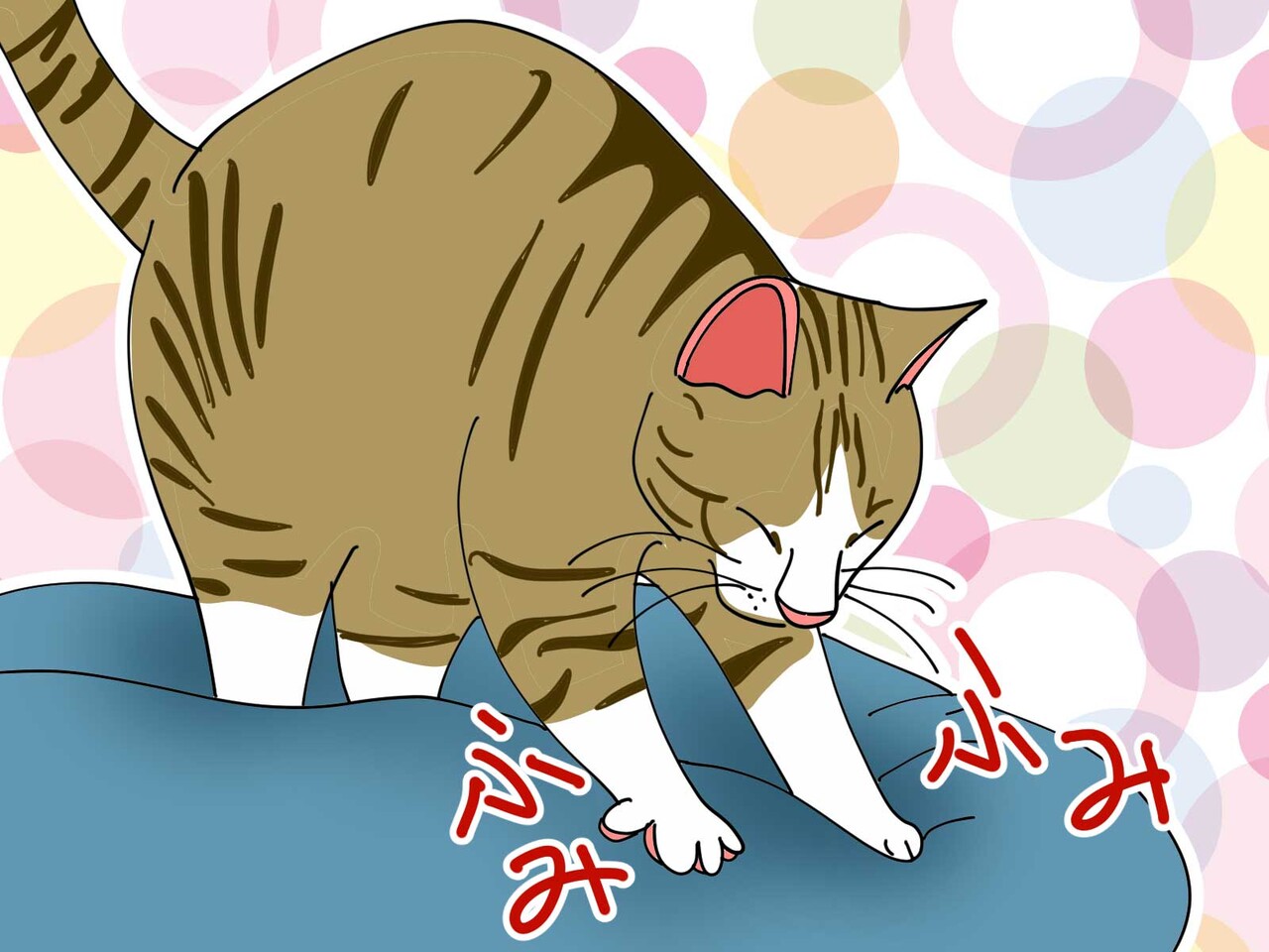 猫の 踏み踏み は甘え行動 ゲイです ほぼ夫婦です Powered By ライブドアブログ 猫の 踏み踏み は甘え行動 ゲイです ほぼ夫婦です Powered By ライブドアブログ