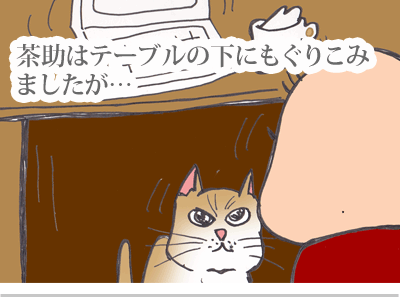【漫画】♂♂ゲイです、ほぼ夫婦です-6
