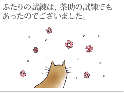 $【漫画】♂♂ゲイです、ほぼ夫婦です-12