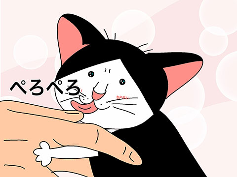 006