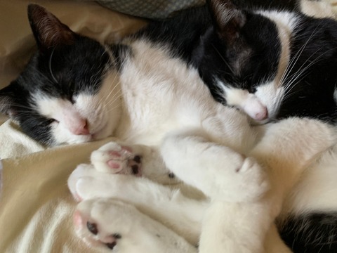 LINE_ALBUM_20170505_220616