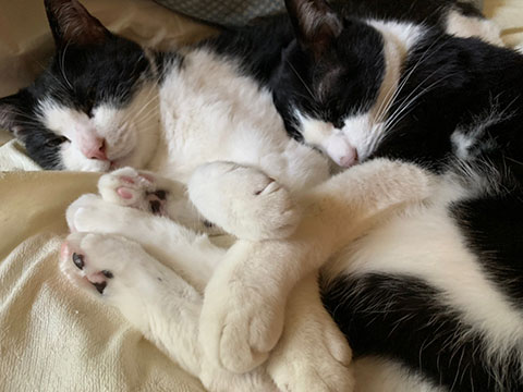 007