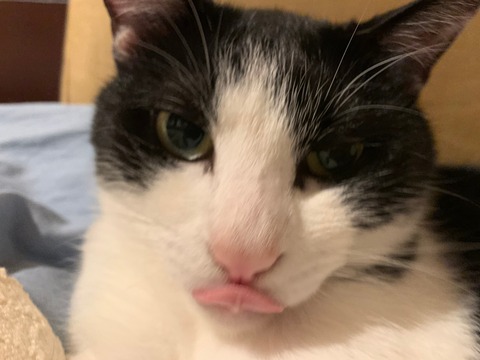 o63d7acbb250cadafb6d8133417955d69_4620693218529892728_210803