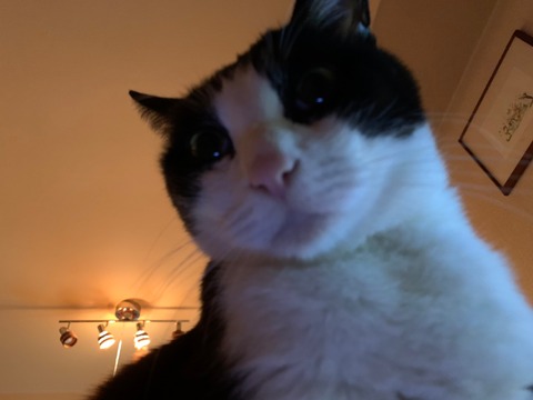 o63d7acbb250cadafb6d8133417955d69_4620693218537820566_201102