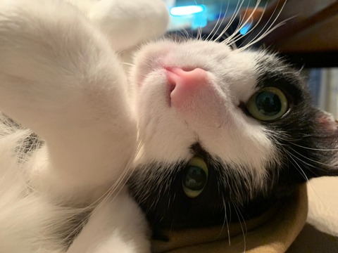 007