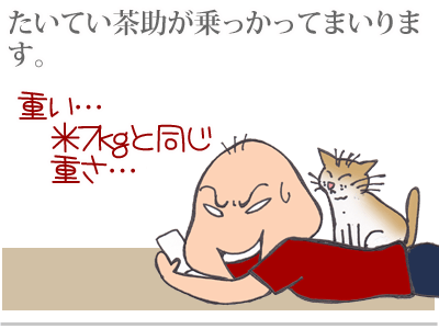 【漫画】♂♂ゲイです、ほぼ夫婦です-2