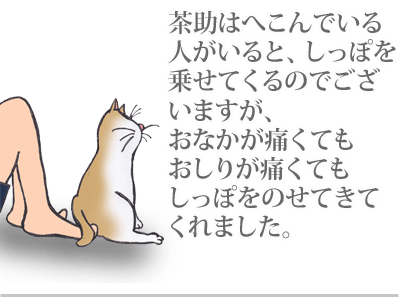 【漫画】♂♂ゲイです、ほぼ夫婦です-7