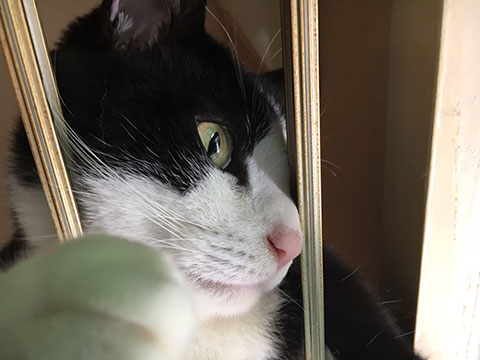 007