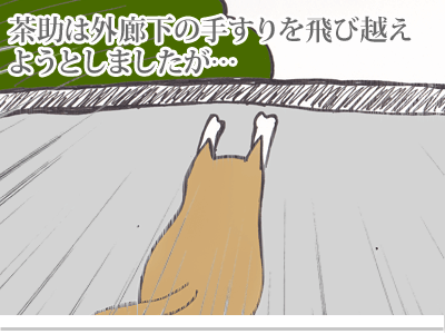 【漫画】♂♂ゲイです、ほぼ夫婦です-10