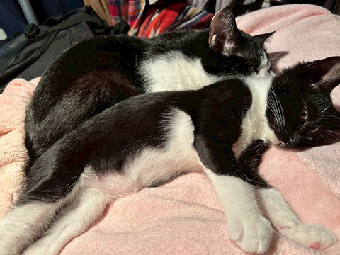 LINE_ALBUM_ダンス武新年会_260117_1