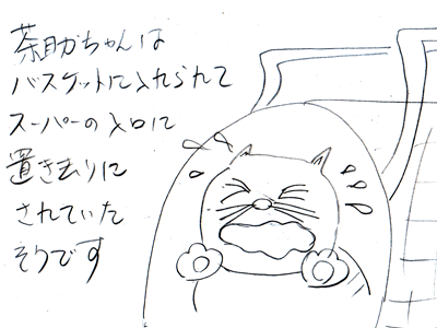 【漫画】♂♂ゲイです、ほぼ夫婦です-1