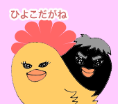 hiyoko