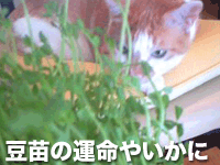 $【漫画】♂♂ゲイです、ほぼ夫婦です-13