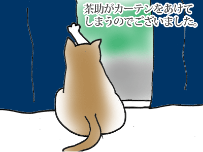 【漫画】♂♂ゲイです、ほぼ夫婦です-4