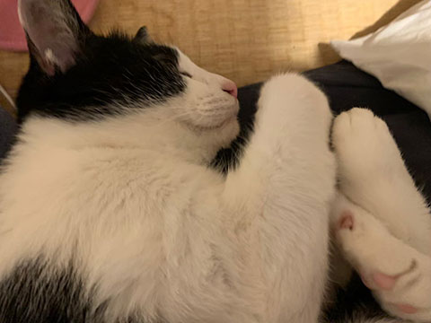 LINE_ALBUM_草津日帰り旅行_250524_1