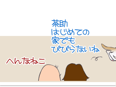 【漫画】♂♂ゲイです、ほぼ夫婦です-14