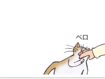 【漫画】♂♂ゲイです、ほぼ夫婦です-29