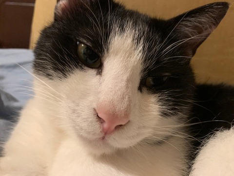 o63d7acbb250cadafb6d8133417955d69_4620693218529892728_210731