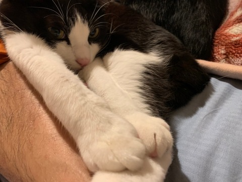 o63d7acbb250cadafb6d8133417955d69_4620693218537820566_201022