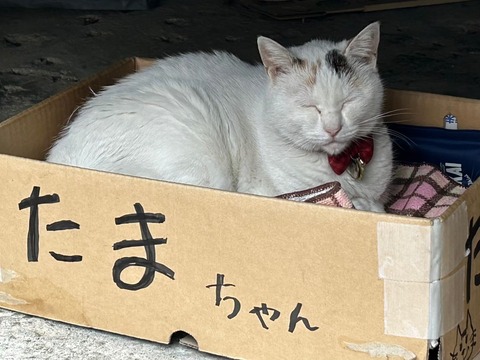 LINE_ALBUM_20160306_241024_1