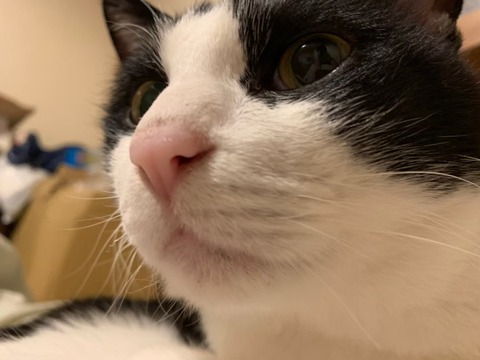 LINE_ALBUM_20200630_241026_1