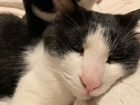 LINE_ALBUM_20170505_220625