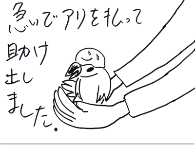 【漫画】♂♂ゲイです、ほぼ夫婦です-5
