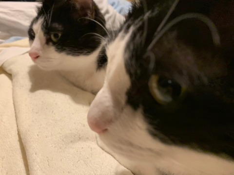LINE_ALBUM_210912