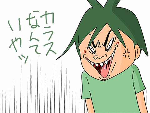006