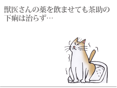 【漫画】♂♂ゲイです、ほぼ夫婦です-2