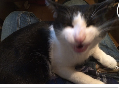 【漫画】♂♂ゲイです、ほぼ夫婦です-7