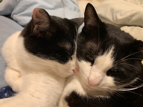 LINE_ALBUM_20191118天城高原_251220_1