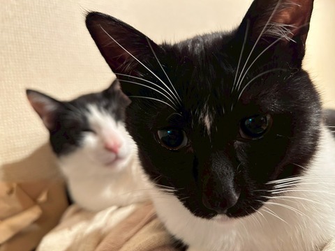 LINE_ALBUM_ダンス武新年会_260314_1