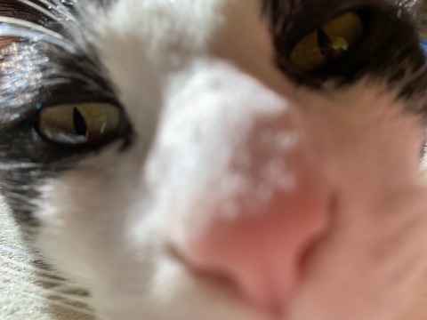 005