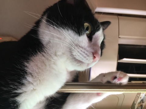 LINE_ALBUM_20190609_250125_1