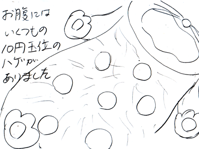 【漫画】♂♂ゲイです、ほぼ夫婦です-3