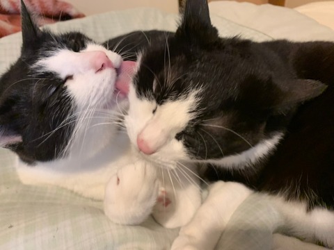 o63d7acbb250cadafb6d8133417955d69_4620693218537820566_201020_0