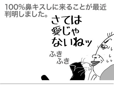 ４