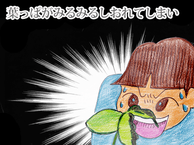 【漫画】♂♂ゲイです、ほぼ夫婦です-8