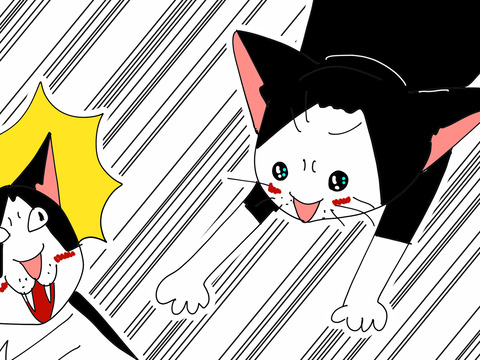 007