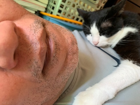 o63d7acbb250cadafb6d8133417955d69_4620693218529892728_210803_0