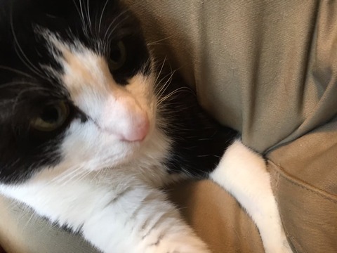 LINE_ALBUM_20170312_251213_1