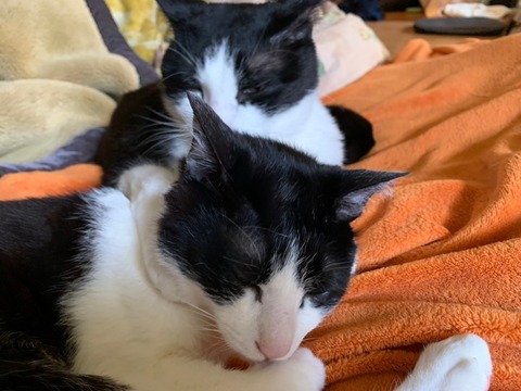 LINE_ALBUM_20170505_220423