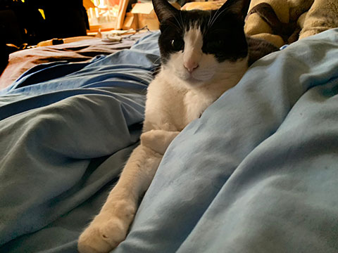 007
