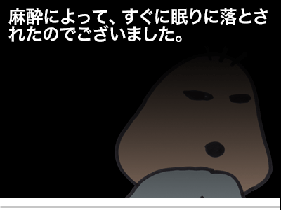 【漫画】♂♂ゲイです、ほぼ夫婦です-3