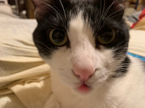 o63d7acbb250cadafb6d8133417955d69_4620693218537820512_210127